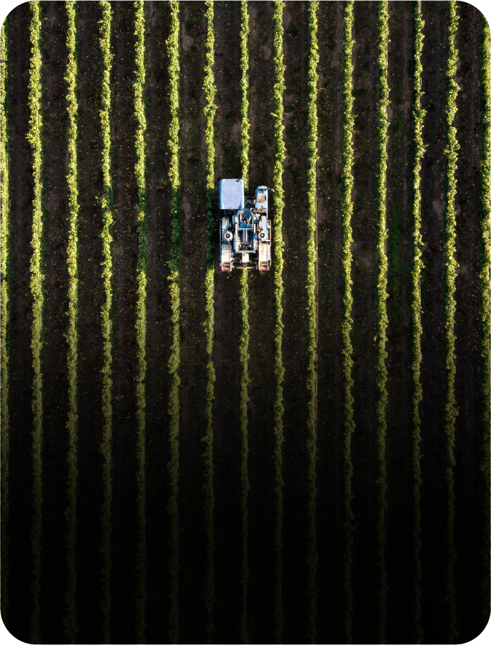 Como a Compreensão das Interações Planta-Polinizador Pode Contribuir para a Segurança Alimentar Global?